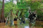 The Swamp Things