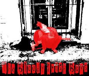 Bloody Irish Boys - "Drunk Rock"